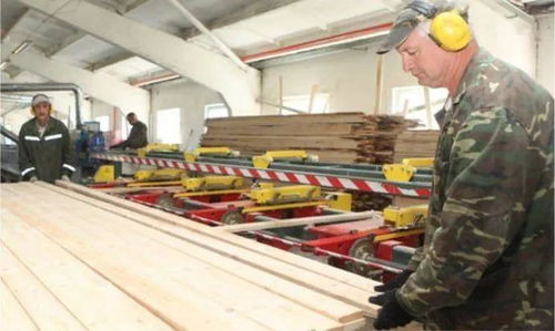 白俄罗斯木材业出口已较2015年实现翻倍